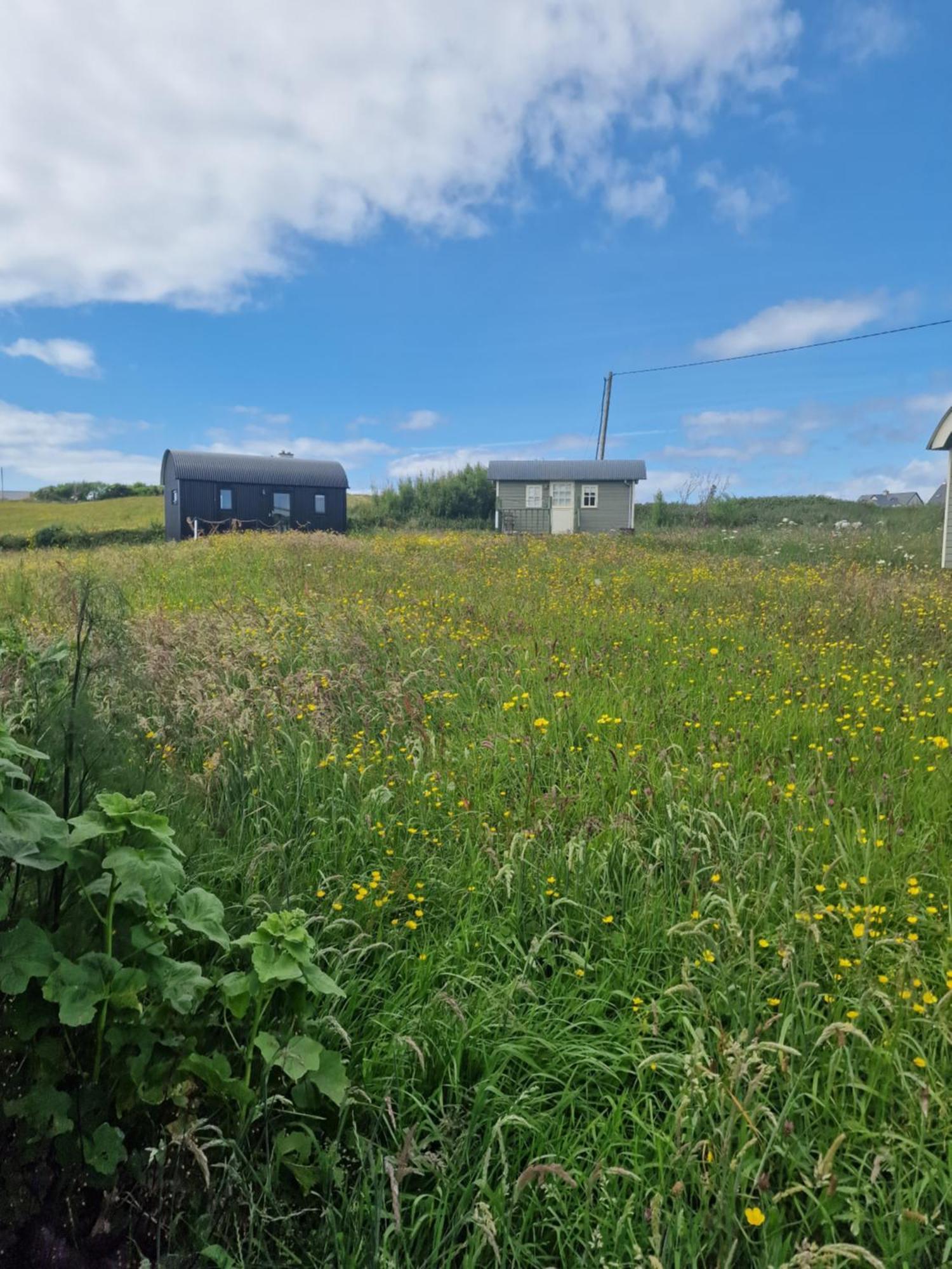 Wild Meadow Huts Villa Doolin Ngoại thất bức ảnh