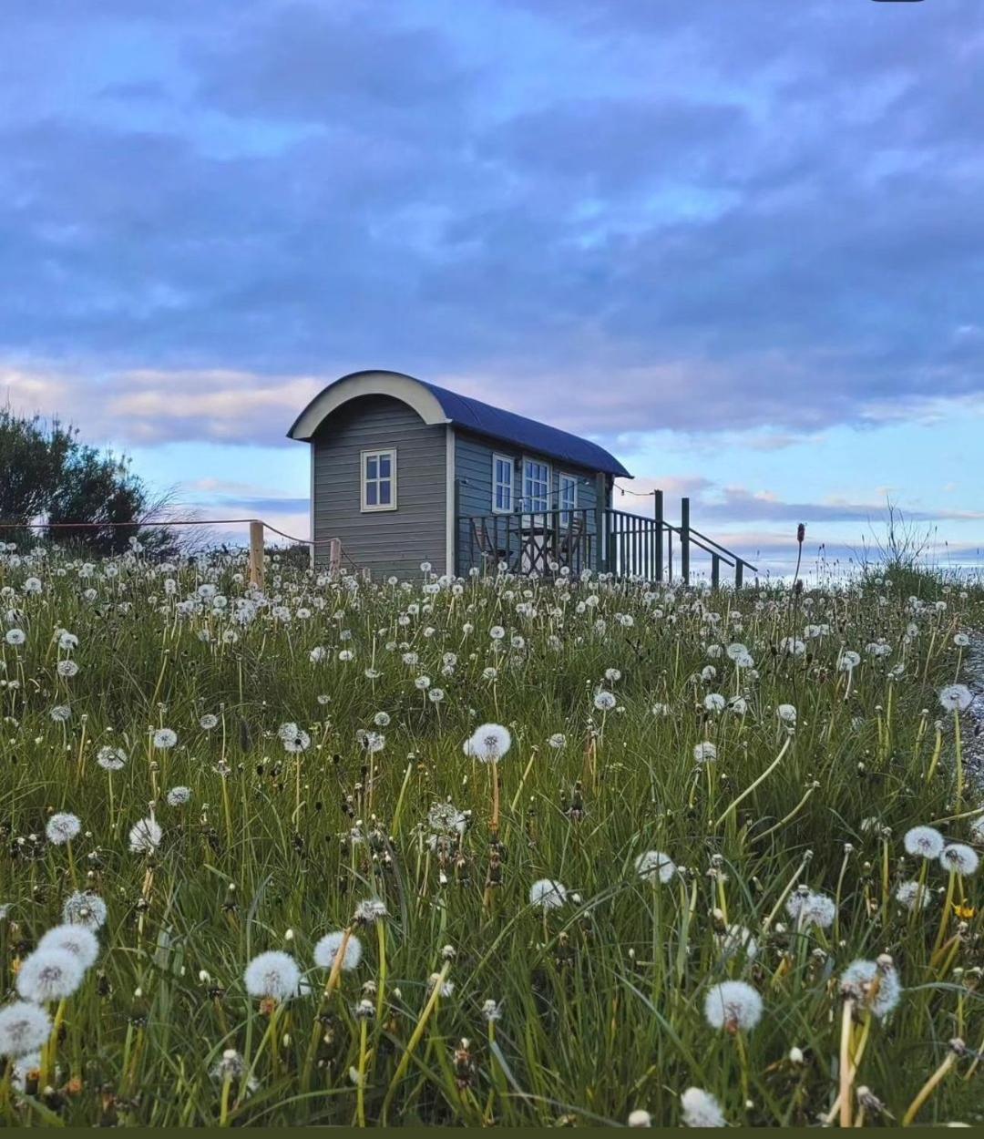 Wild Meadow Huts Villa Doolin Ngoại thất bức ảnh