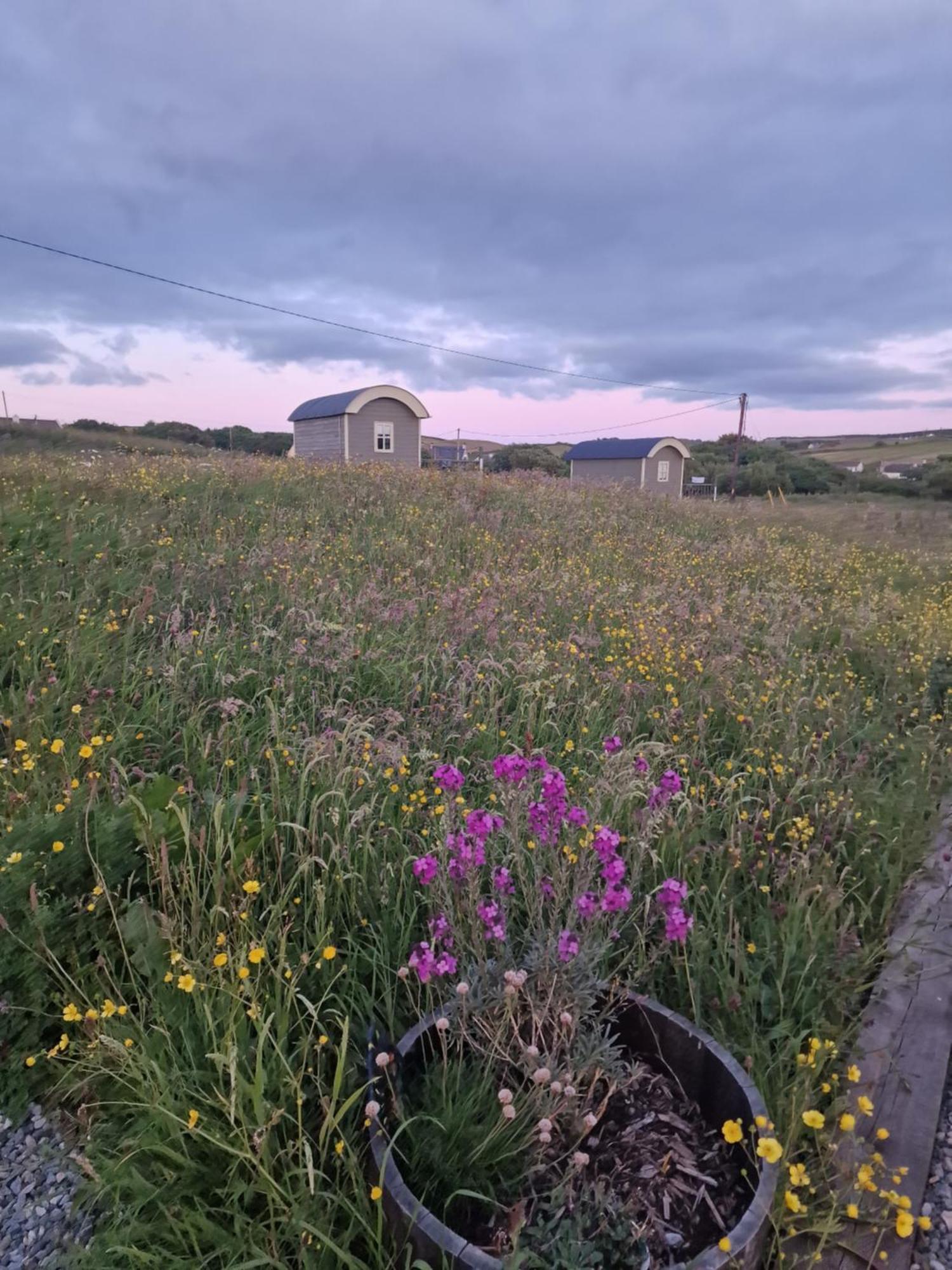 Wild Meadow Huts Villa Doolin Ngoại thất bức ảnh